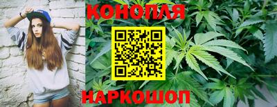 спиды Новокубанск
