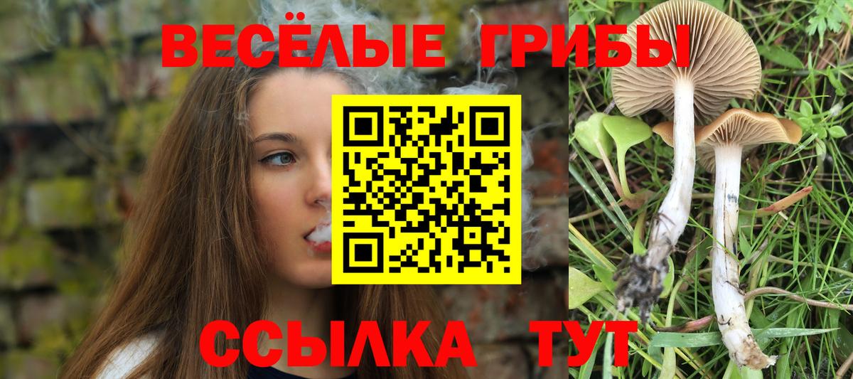 Торжок  Псилоцибиновые грибы GOLDEN TEACHER  Галлюциногенные грибы Cubensis  Вход с VPN 