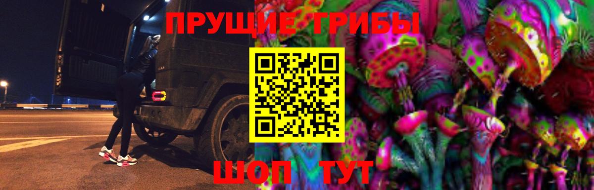 Псилоцибиновые грибы GOLDEN TEACHER Торжок